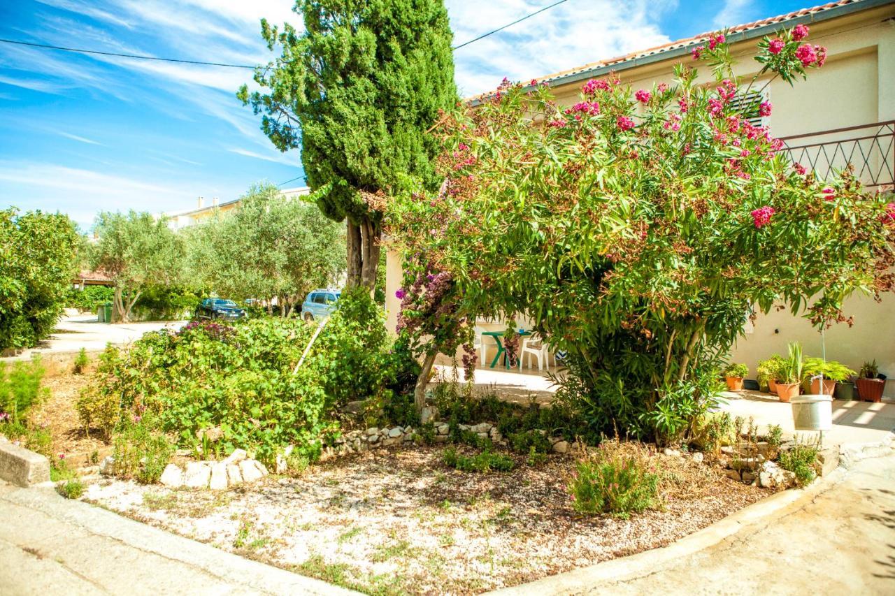 Apartments Alma Novalja Εξωτερικό φωτογραφία