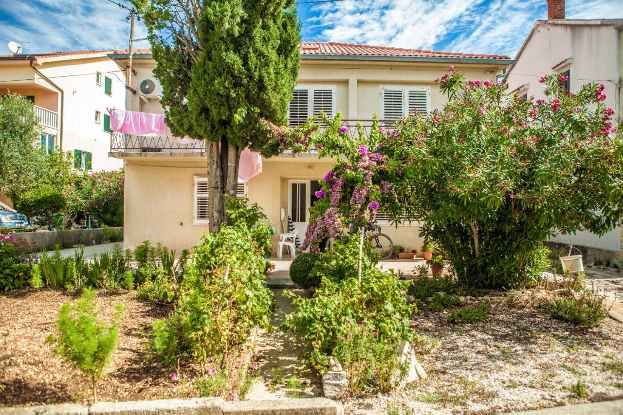 Apartments Alma Novalja Εξωτερικό φωτογραφία