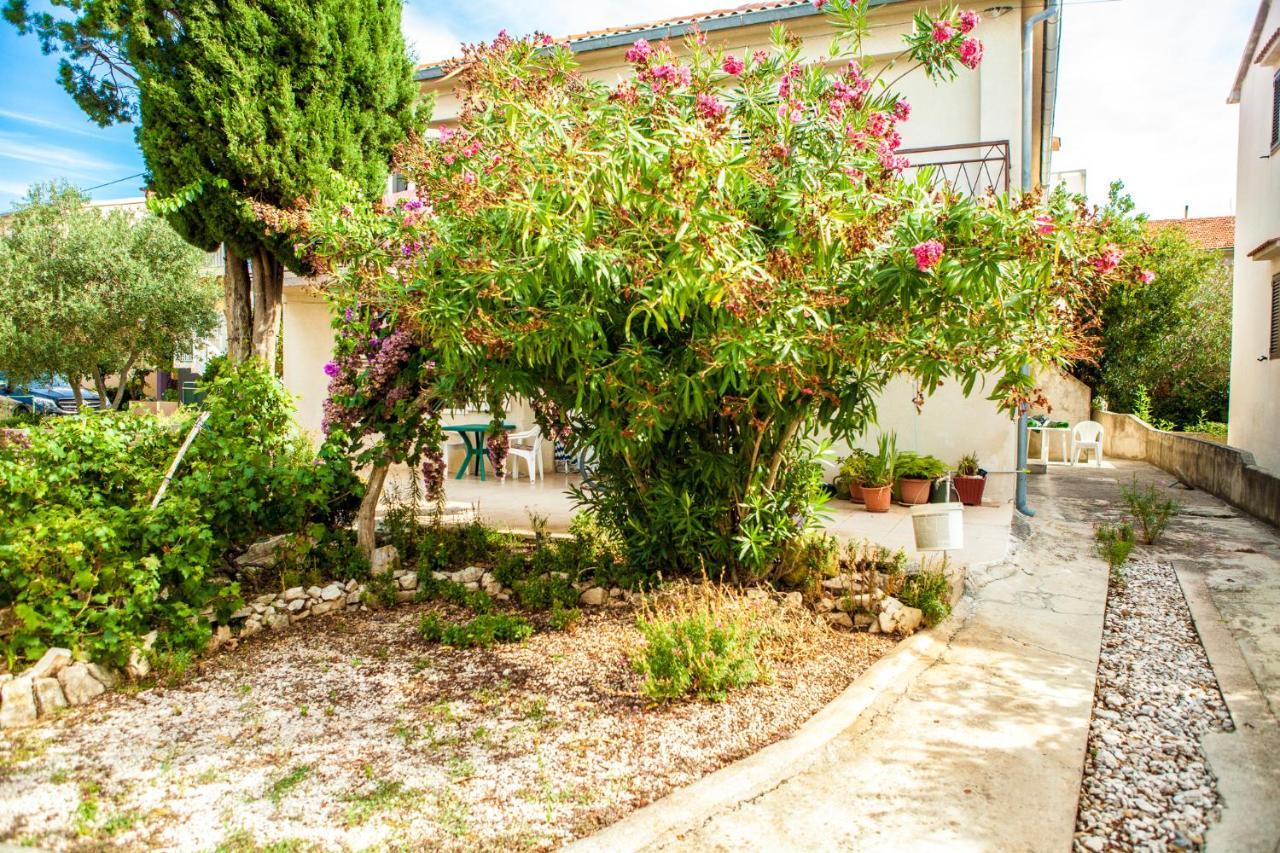 Apartments Alma Novalja Εξωτερικό φωτογραφία