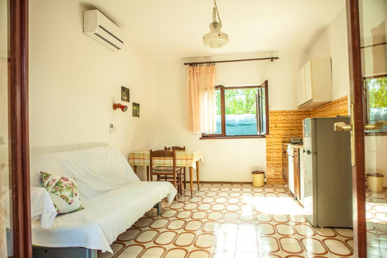 Apartments Alma Novalja Εξωτερικό φωτογραφία