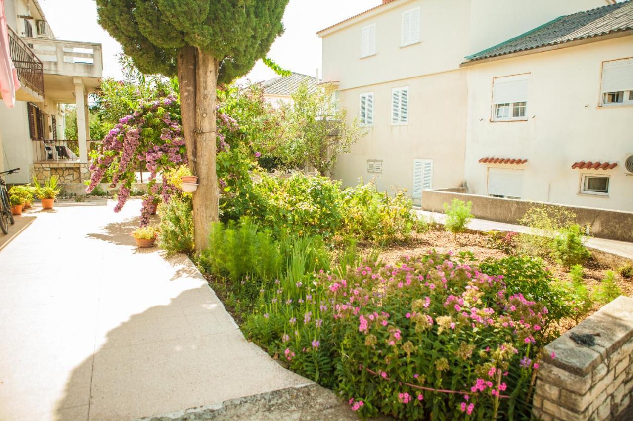Apartments Alma Novalja Εξωτερικό φωτογραφία