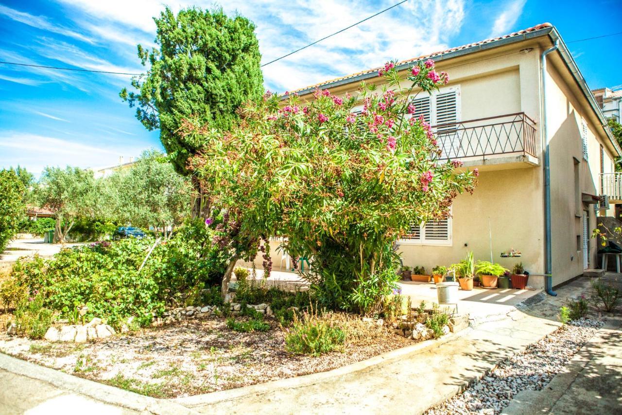 Apartments Alma Novalja Εξωτερικό φωτογραφία